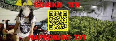 ГАЛЛЮЦИНОГЕННЫЕ ГРИБЫ Кингисепп