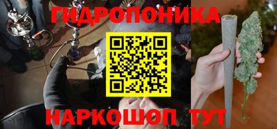 ГАЛЛЮЦИНОГЕННЫЕ ГРИБЫ Канаш