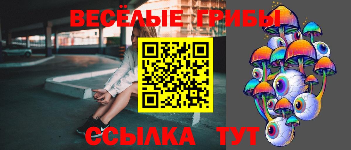 Биробиджан  Галлюциногенные грибы MAGIC MUSHROOMS  Вход с VPN 